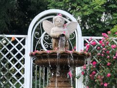 -昆山城市生态森林公园