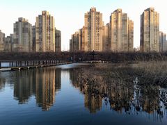 景点-前关湿地公园