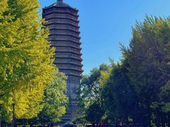 -玲珑塔公园