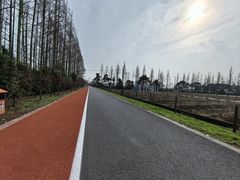 -上海长兴岛郊野公园