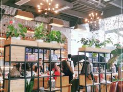 大堂-桉树林A coffee 森林餐厅(三圣乡店)