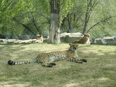 -北京野生动物园