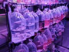 -华声天桥民俗文化园