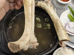 -莲洞本家