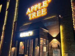 -苹果树下艺术餐厅(宋庄店)