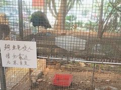 -粮心小农·大头虾亲子生态园(长发店)