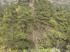 -木兰云雾山