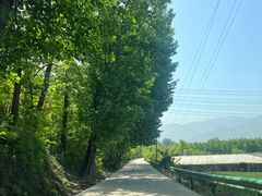 -秦岭终南山世界地质公园翠华山景区