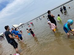-碧海金沙