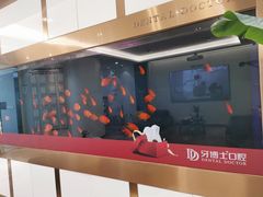 -牙博士口腔品牌连锁(杨浦店)