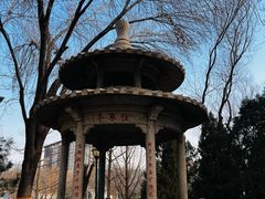 -玲珑塔公园
