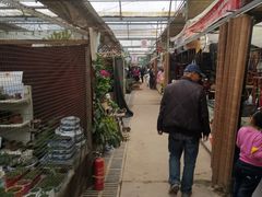 -秦美花卉(天朗·莱茵小城2期店)