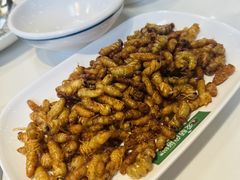 -爱膳菌锅锅(阳南店)