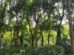 -苏州河梦清园环保主题公园