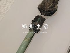 -河南博物院