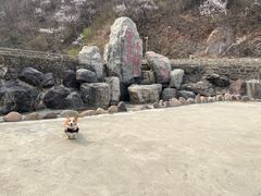 -雾灵西峰