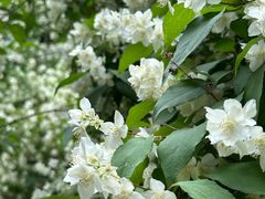 -长春公园(普阳街道)