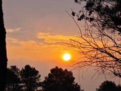 -铁山坪森林公园