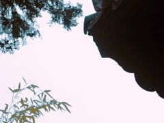 -汝州市汝瓷博物馆