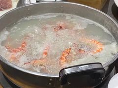 野生大斑节虾-凯华海鲜火锅·传承三十六年