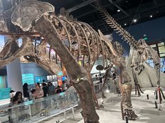 -国家自然博物馆