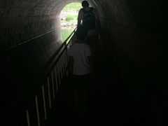 -白水寺森林公园