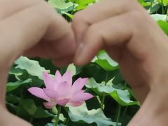 -莲池书院博物馆