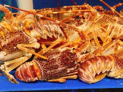 -开海·红岛海鲜虾水饺(石老人店)