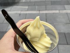 榴莲冰淇淋-猫王榴莲世家(三里屯SOHO商场店)