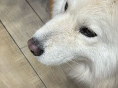 -OZ cafe(南昌路店)