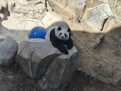 -青藏高原野生动物园