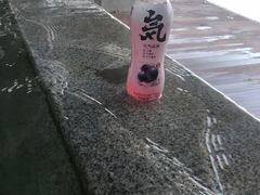 -春晖园度假酒店温泉