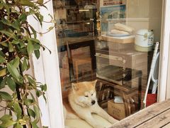 -餐酒吧Com-ing Bar(上海路店)