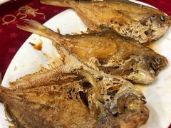 -蛇口康乐快餐鱼仔档(翠苑小区店)