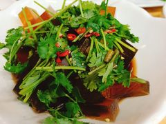-敦煌达记酱驴肉黄面馆