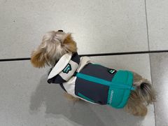 -帕帕拉兹宠物(亚洲旗舰店)