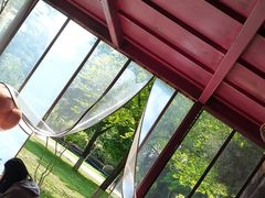 -鸡鸣汤包(红山动物园店)