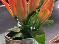 -大董(阜成路店)