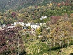 -塔川景区
