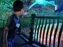 -青岛嘉年华主题乐园