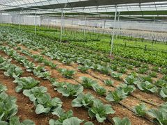-北马山庄植趣咖啡