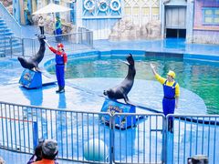 -华夏文旅海洋公园