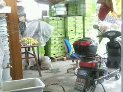 -马陆小张葡萄园农家乐