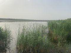 -绿堤公园