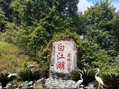 -广州白江湖森林公园