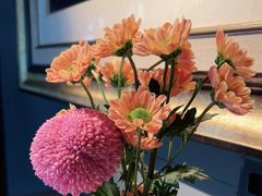 -弦月窗LUNETTE BY AMANDA(复兴路店)