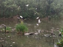 -新江湾城公园