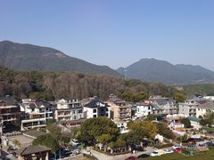 -龙坞茶村