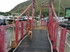 -大澳渔村及棚屋