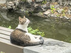 -郑和公园